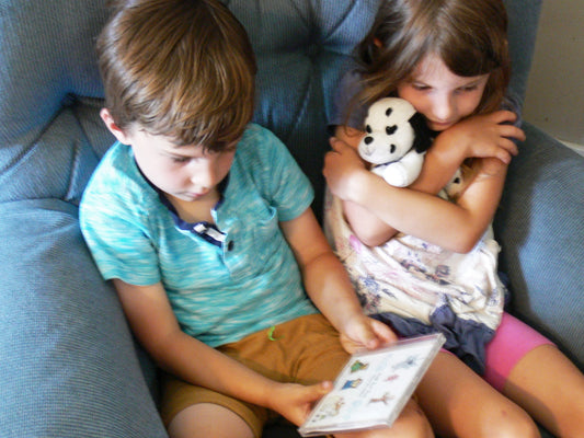 The Gift of Stories